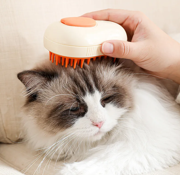 SteamGroom Master