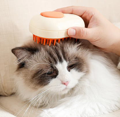 SteamGroom Master